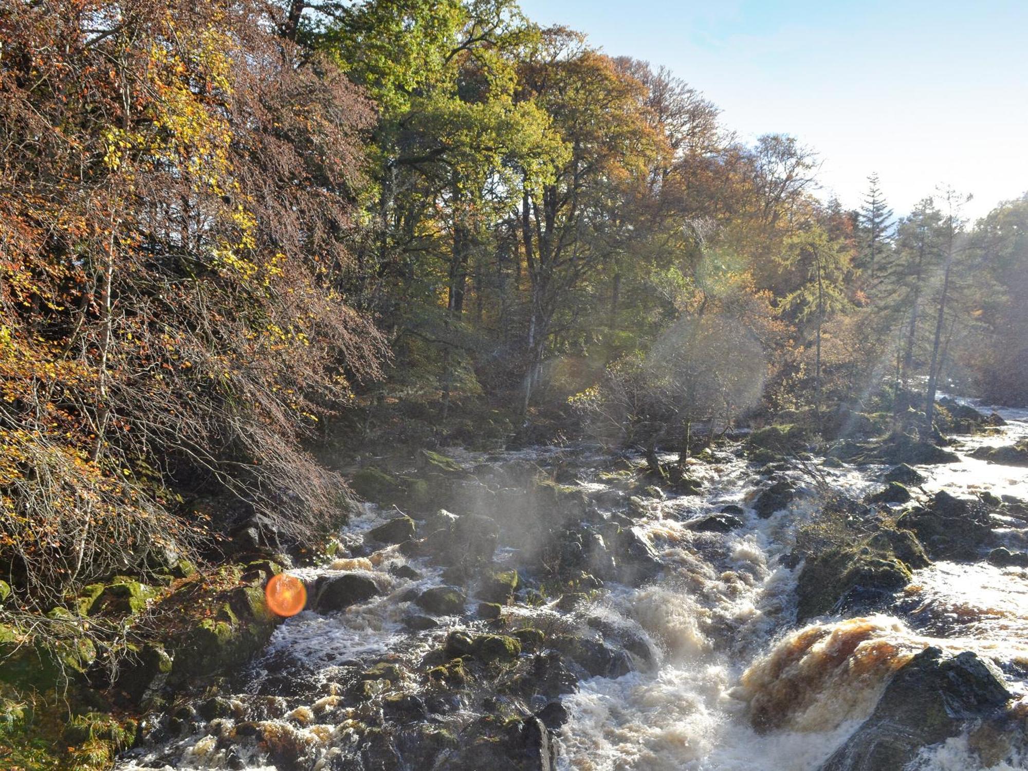 Toll Bridge Lodge Banchory Bagian luar foto